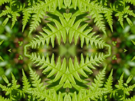 green view